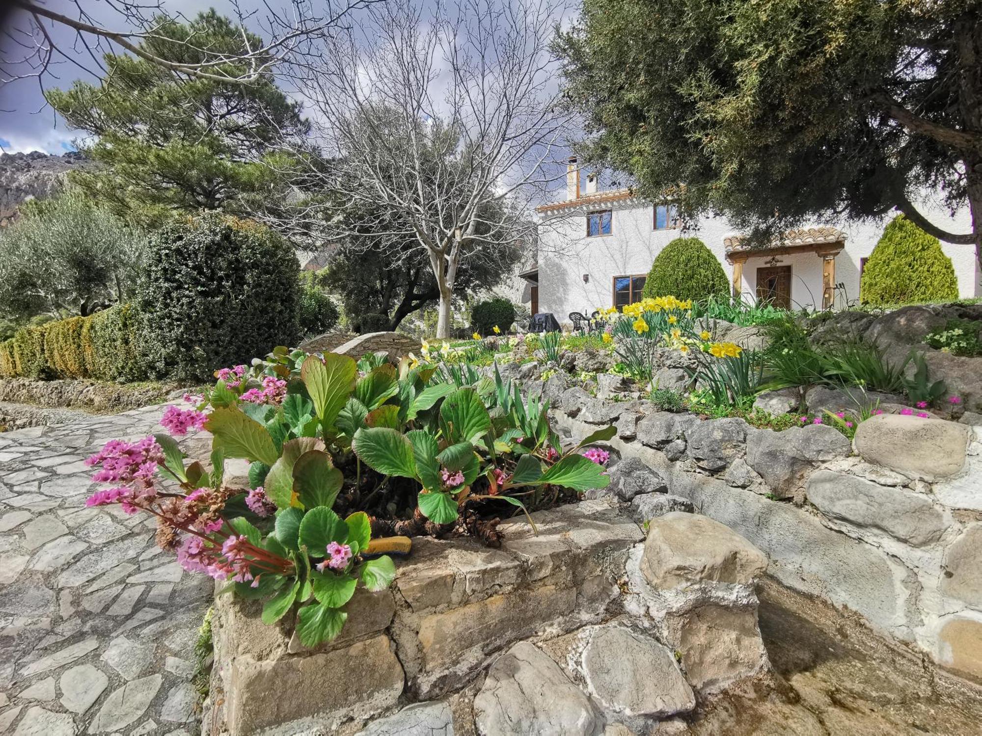 Gasthaus Saluda Alta Castril Exterior foto