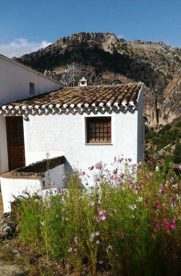 Gasthaus Saluda Alta Castril Exterior foto